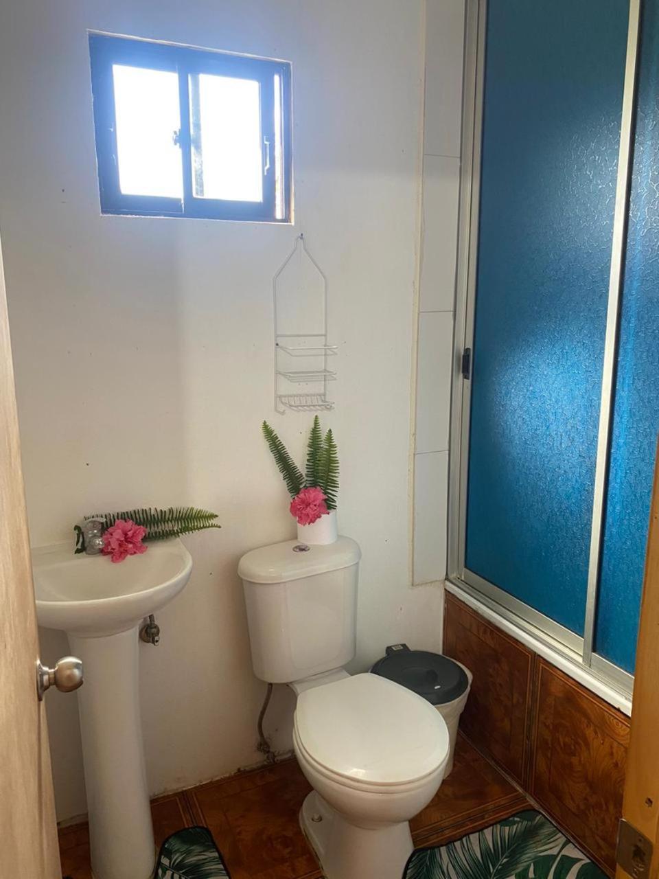 Pua Vaenga Hanga Roa Exterior foto